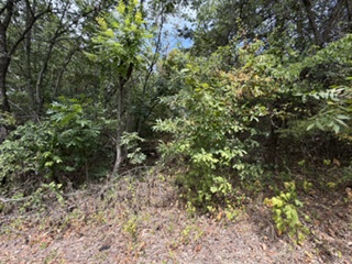 0000 E Arkansas Durant OK 74701