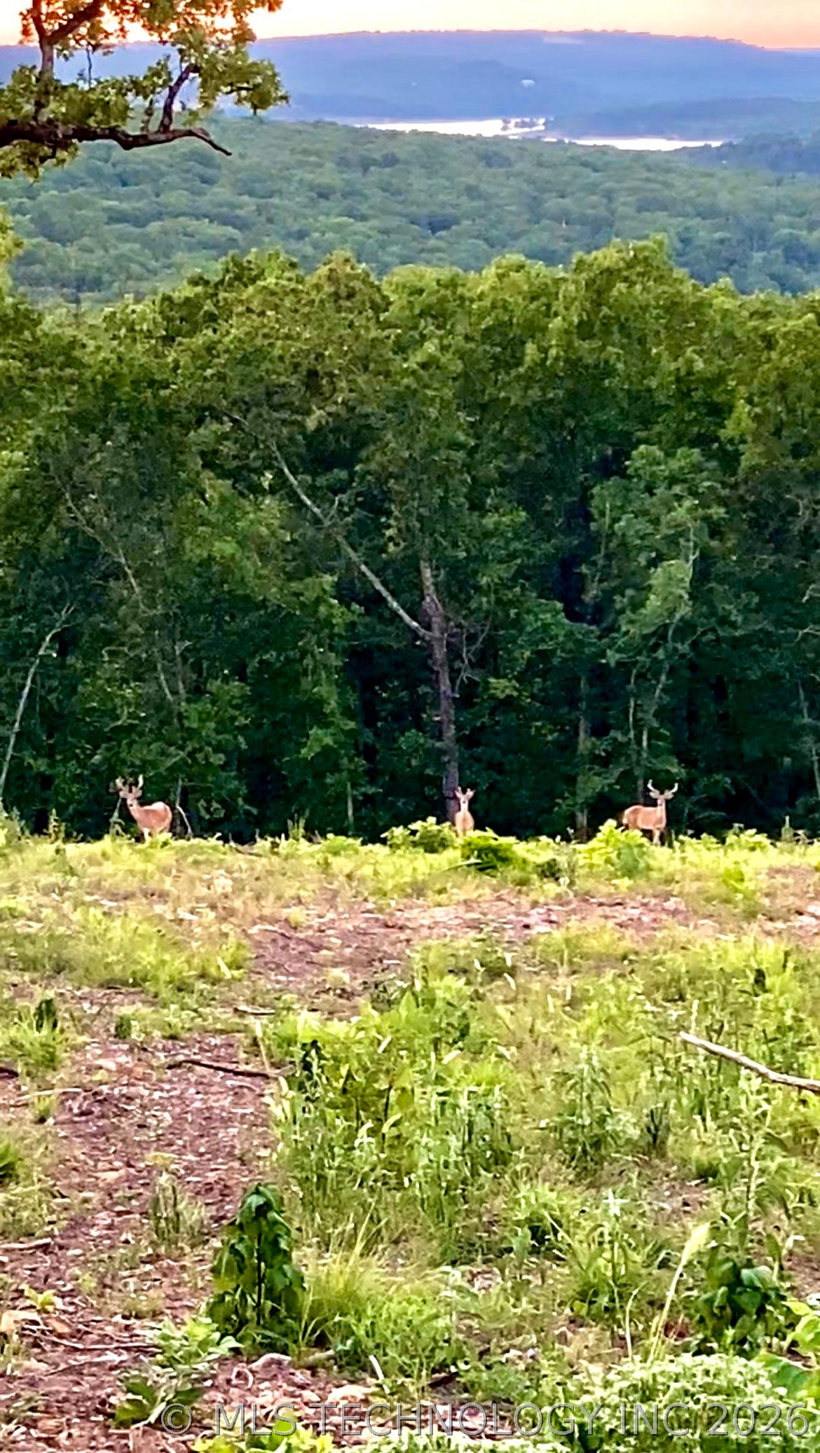 Chicken Creek Road Cookson OK 74427