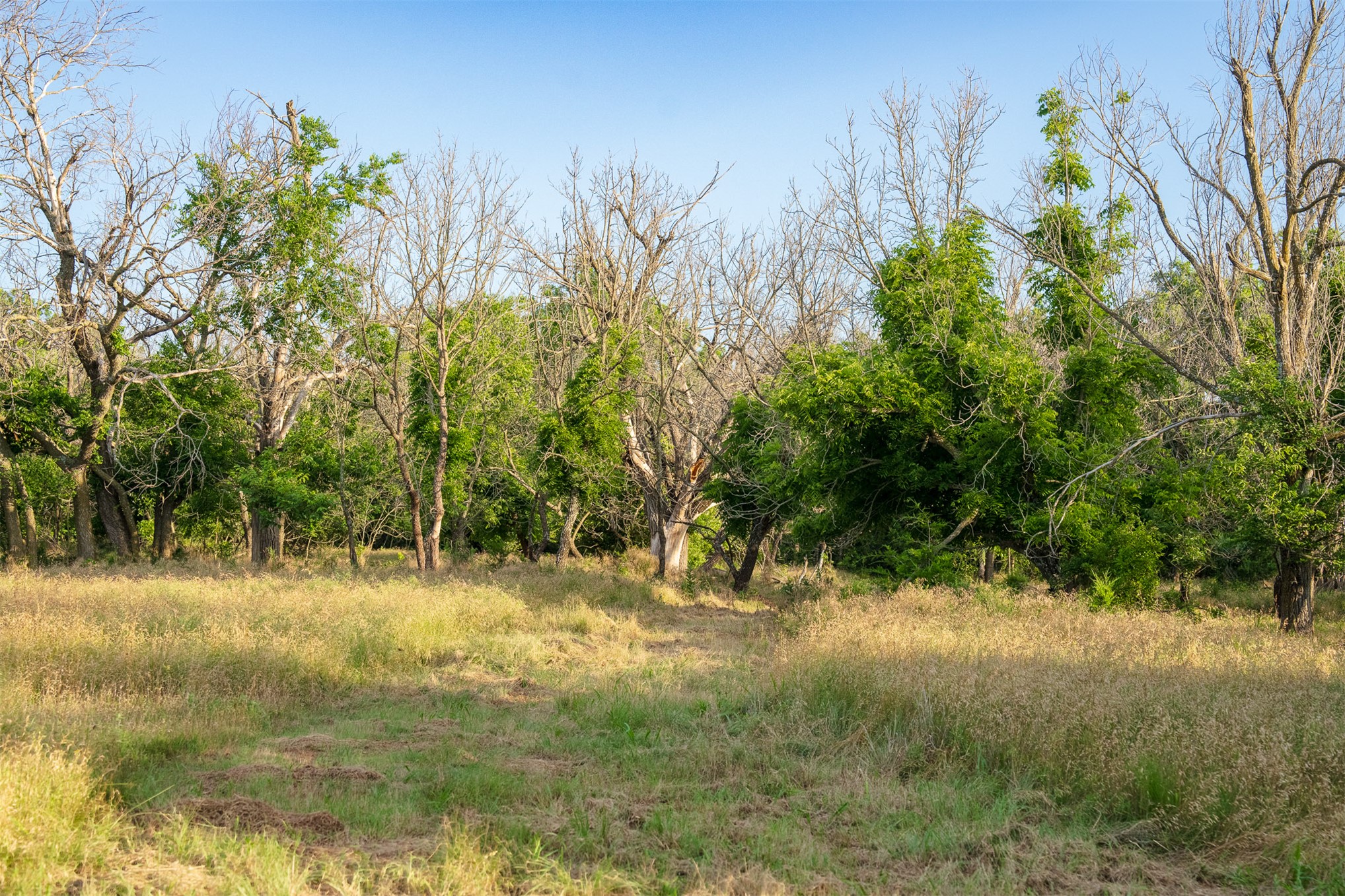 1 E Lone Chimney Road Glencoe OK 74032