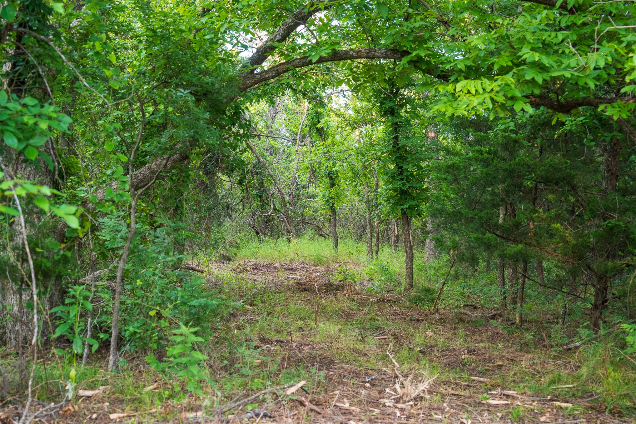 1 E Lone Chimney Road Glencoe OK 74032