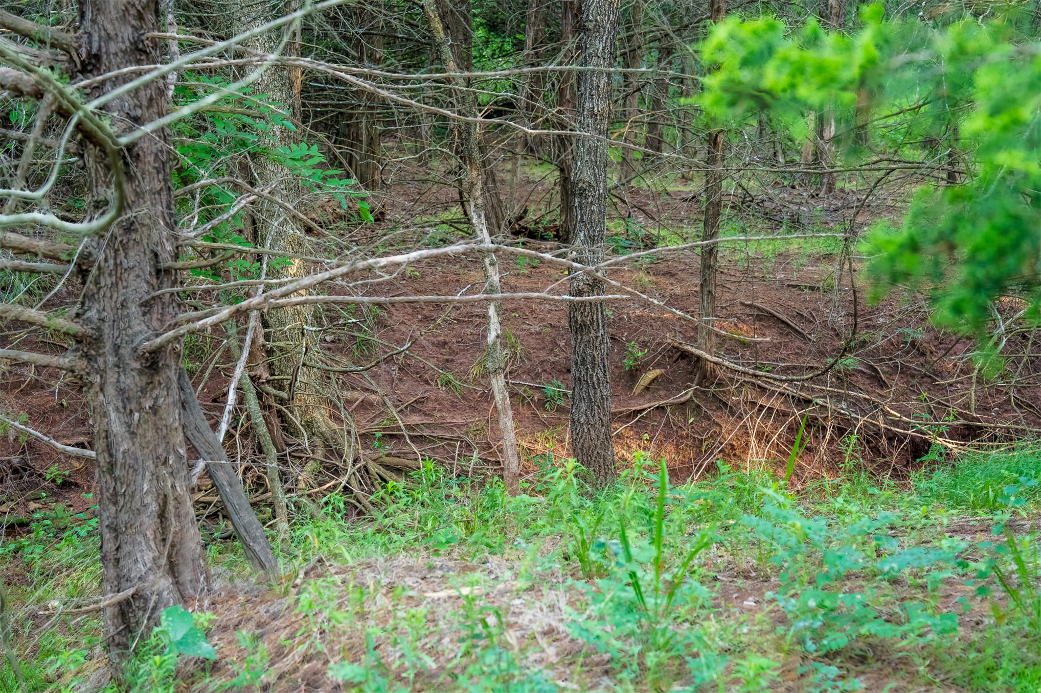 1 E Lone Chimney Road Glencoe OK 74032