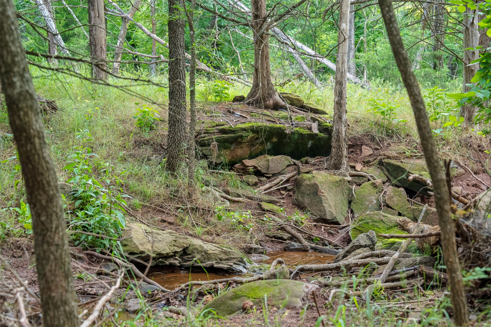 1 E Lone Chimney Road Glencoe OK 74032