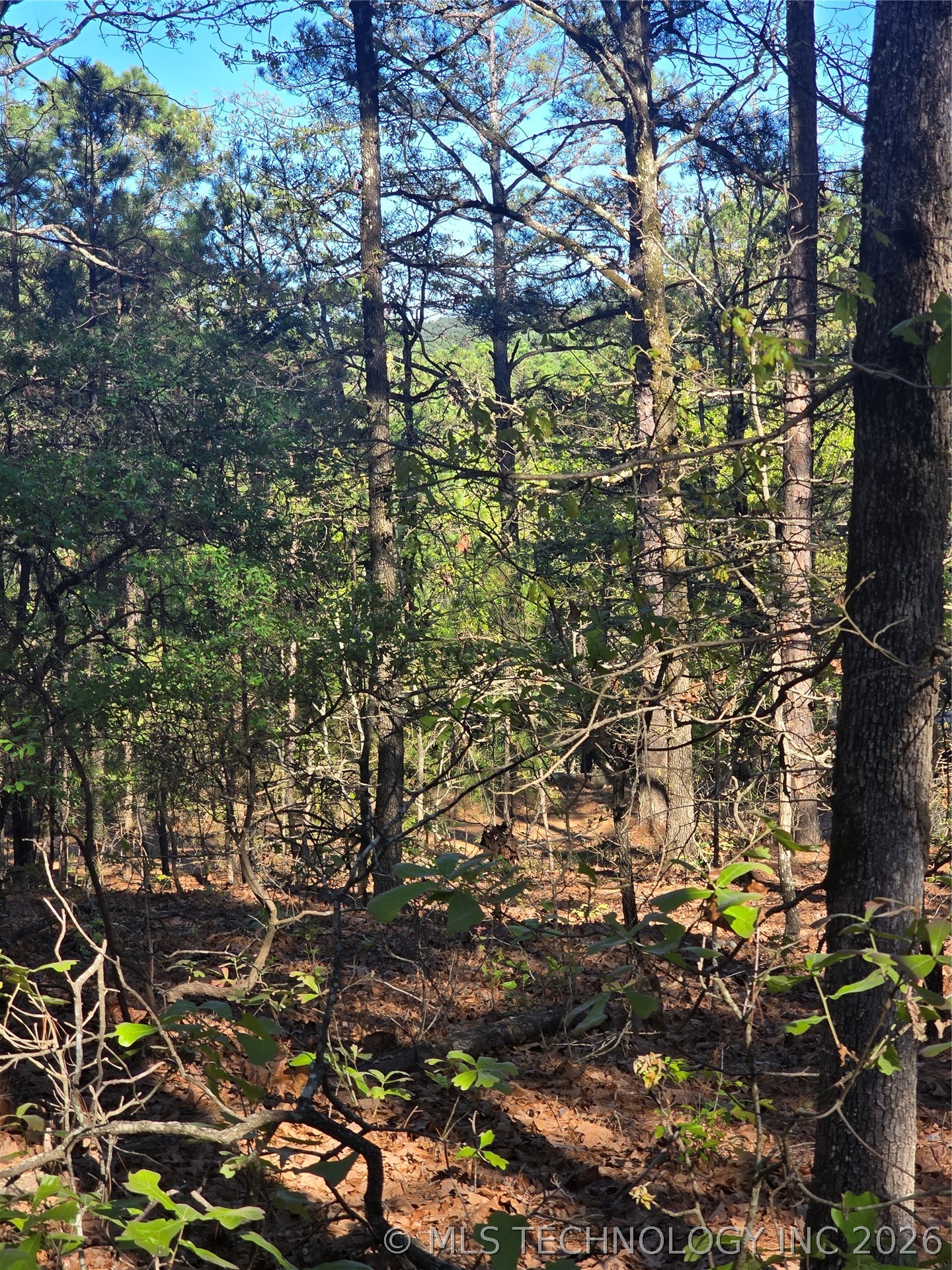 175 SW Sherman Moyers OK 74523