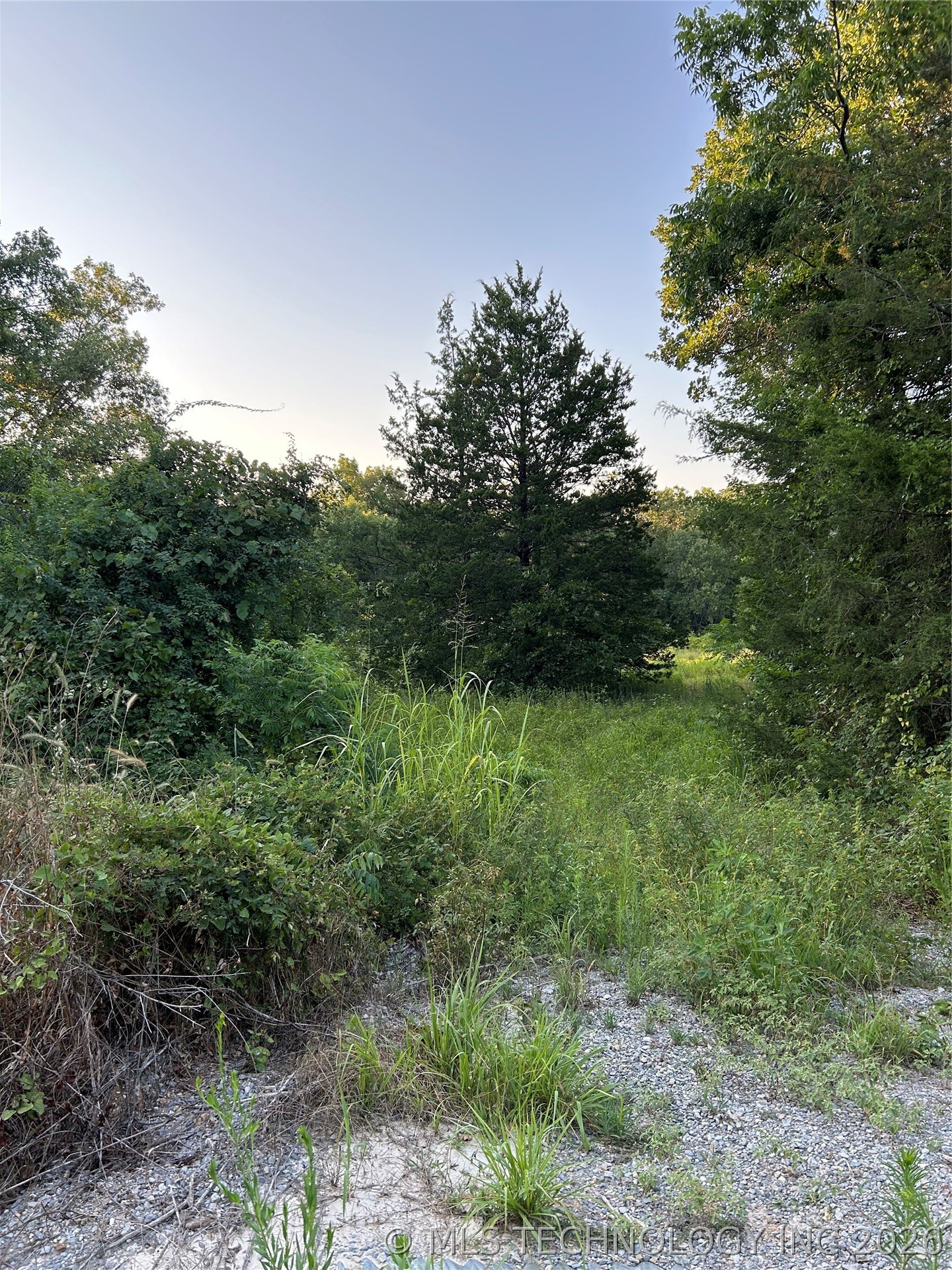 Cedar Mead OK 73449