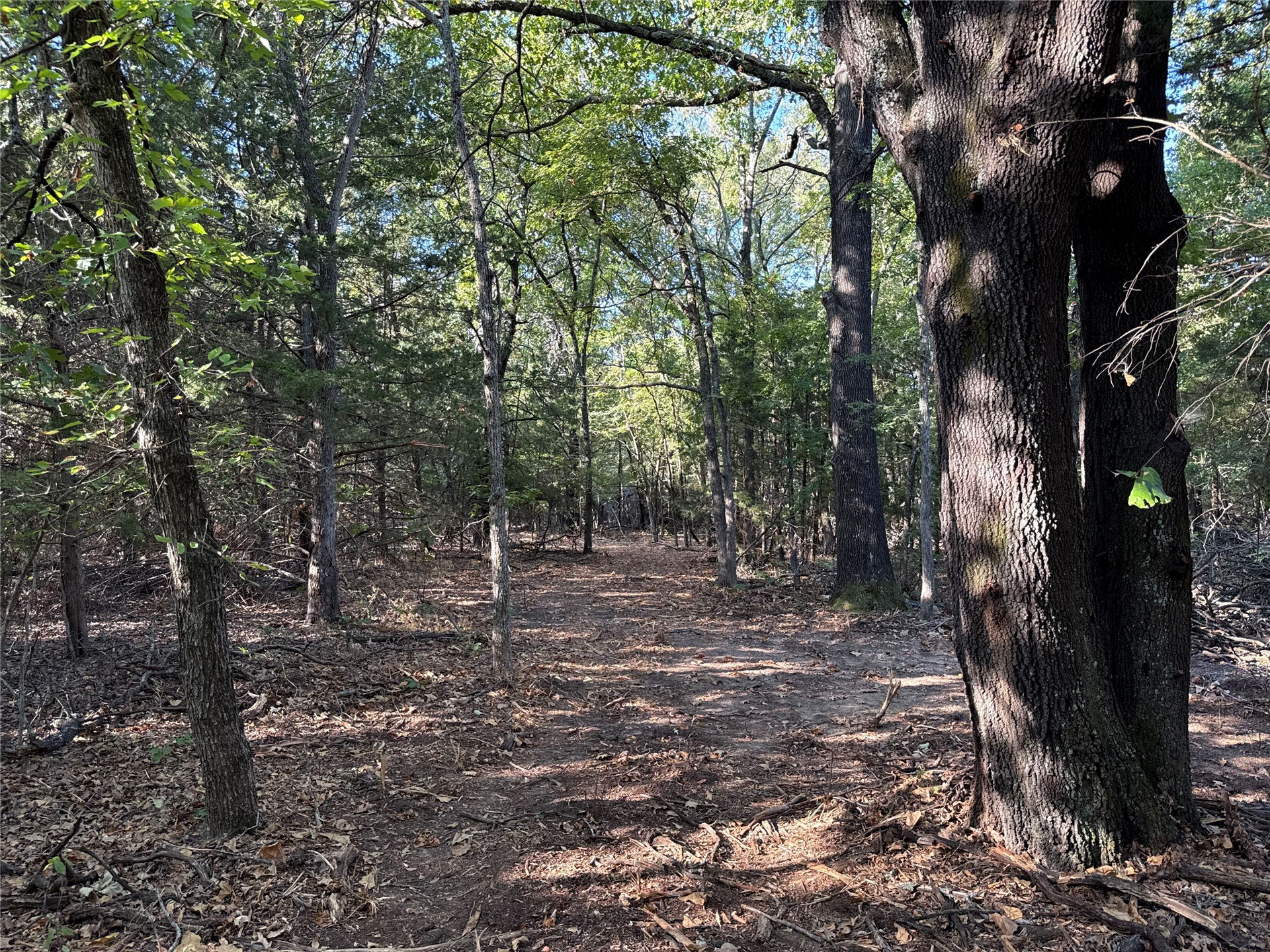 4 County Road 1540 Ada OK 74820