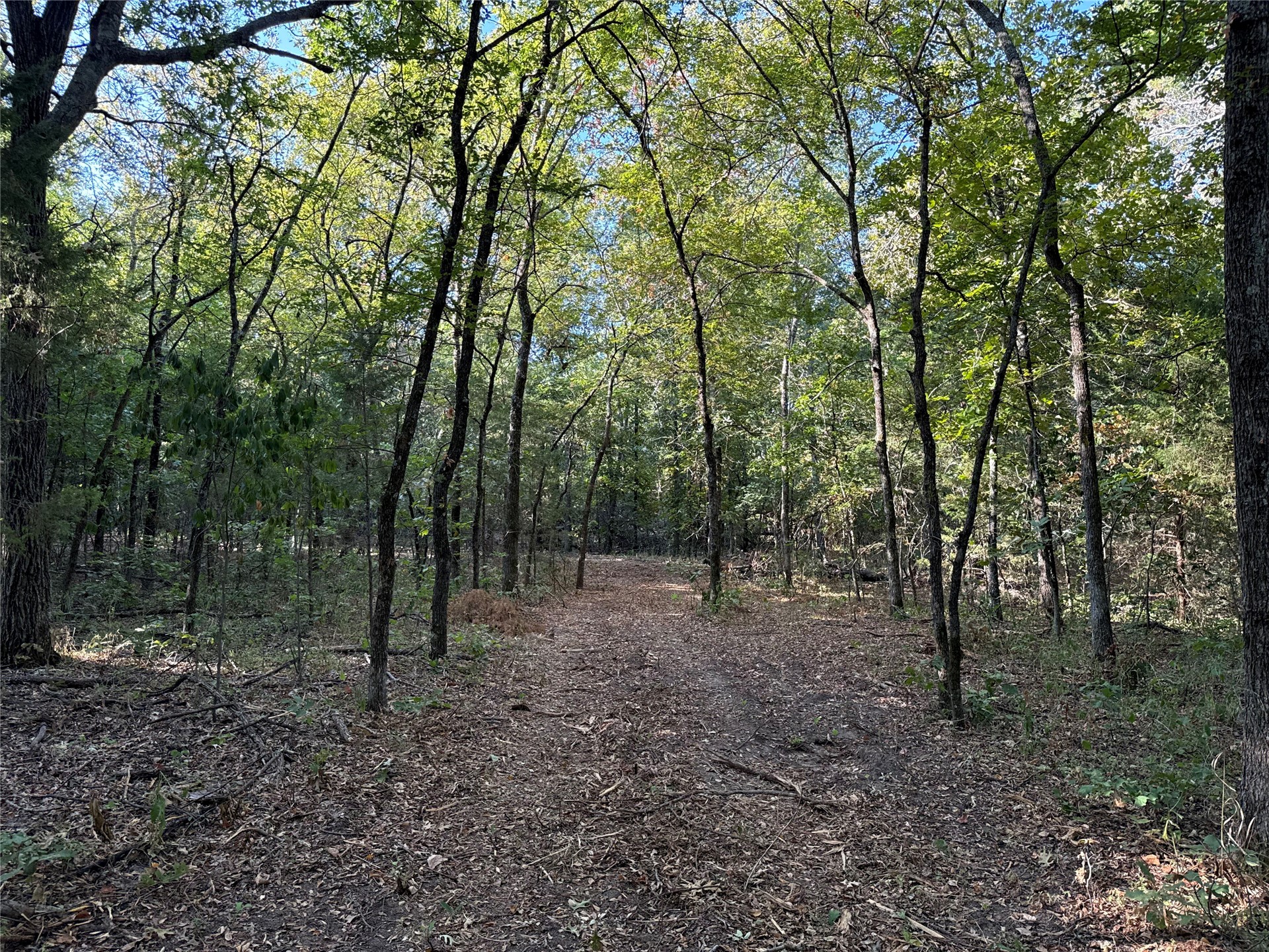 4 County Road 1540 Ada OK 74820