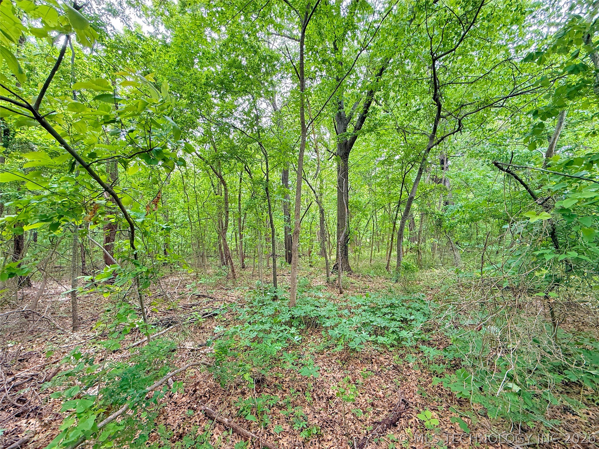 24 Holiday Lane Eufaula OK 74432