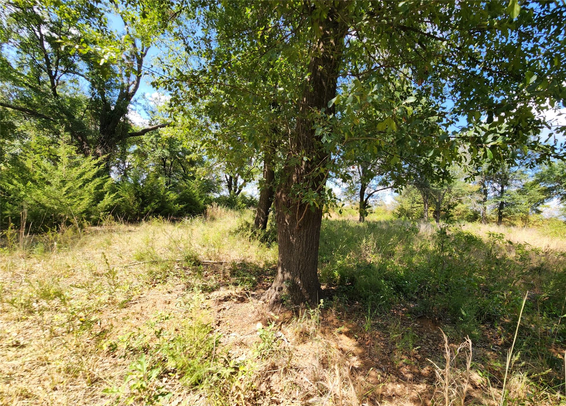Arnett Road Bokchito OK 74726