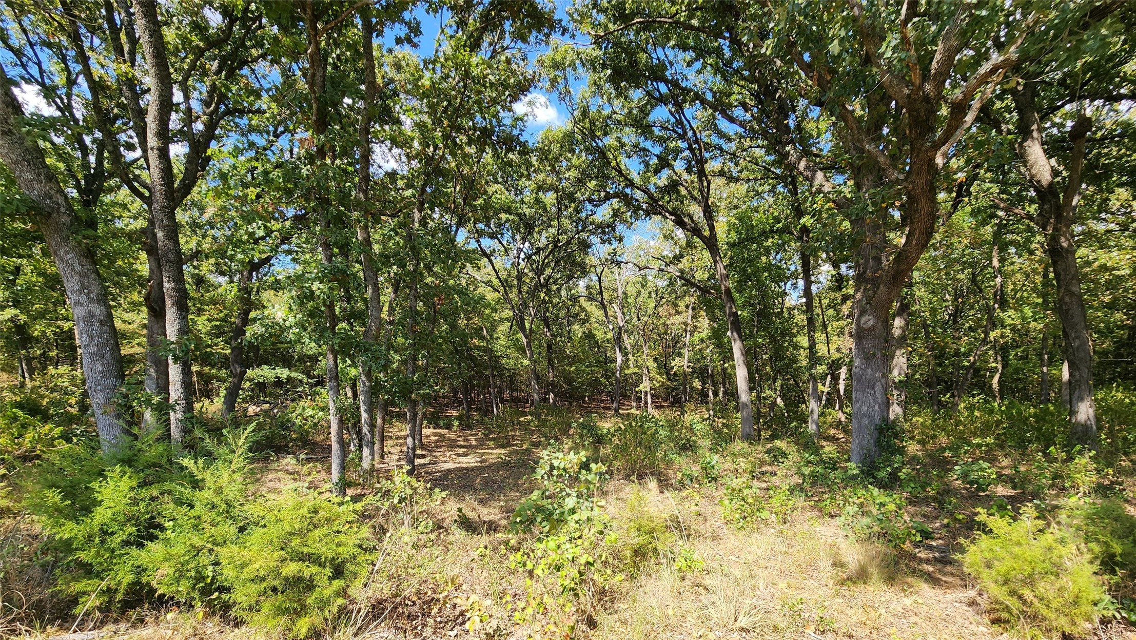 Arnett Road Bokchito OK 74726