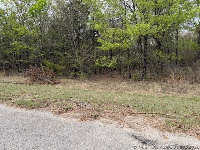 60 Arrowhead Burneyville OK 73430