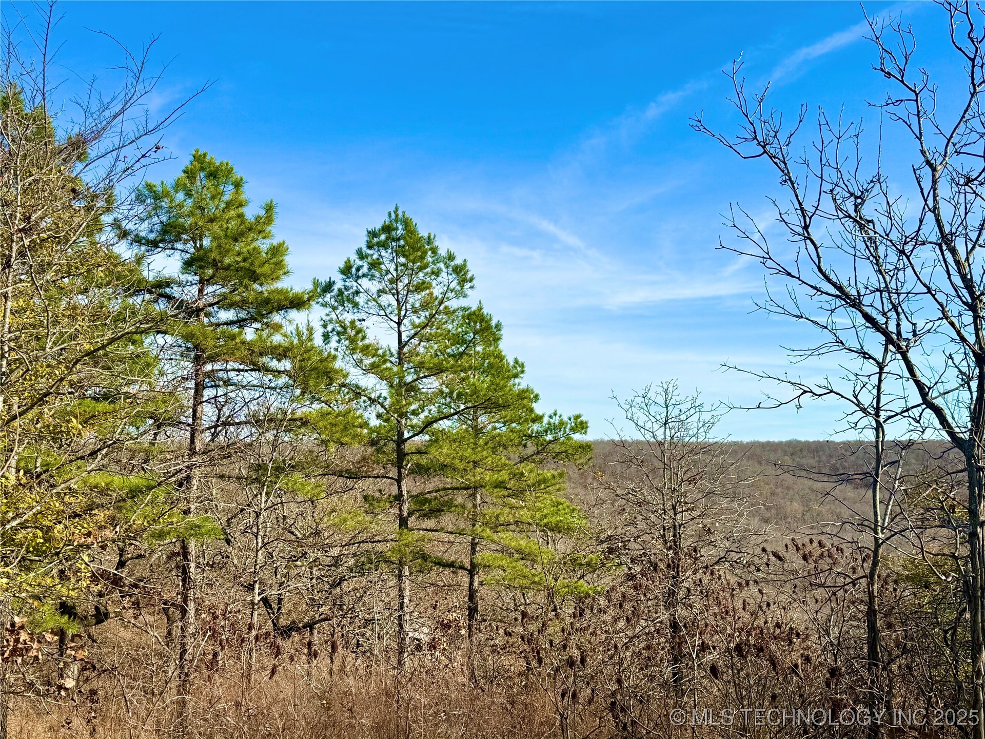 4540 Road S Vian OK 74962