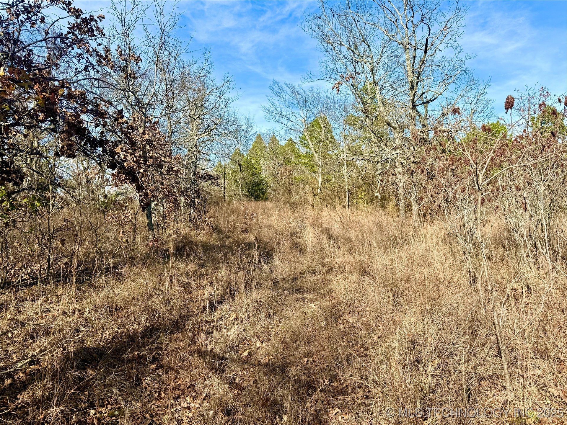 4540 Road S Vian OK 74962