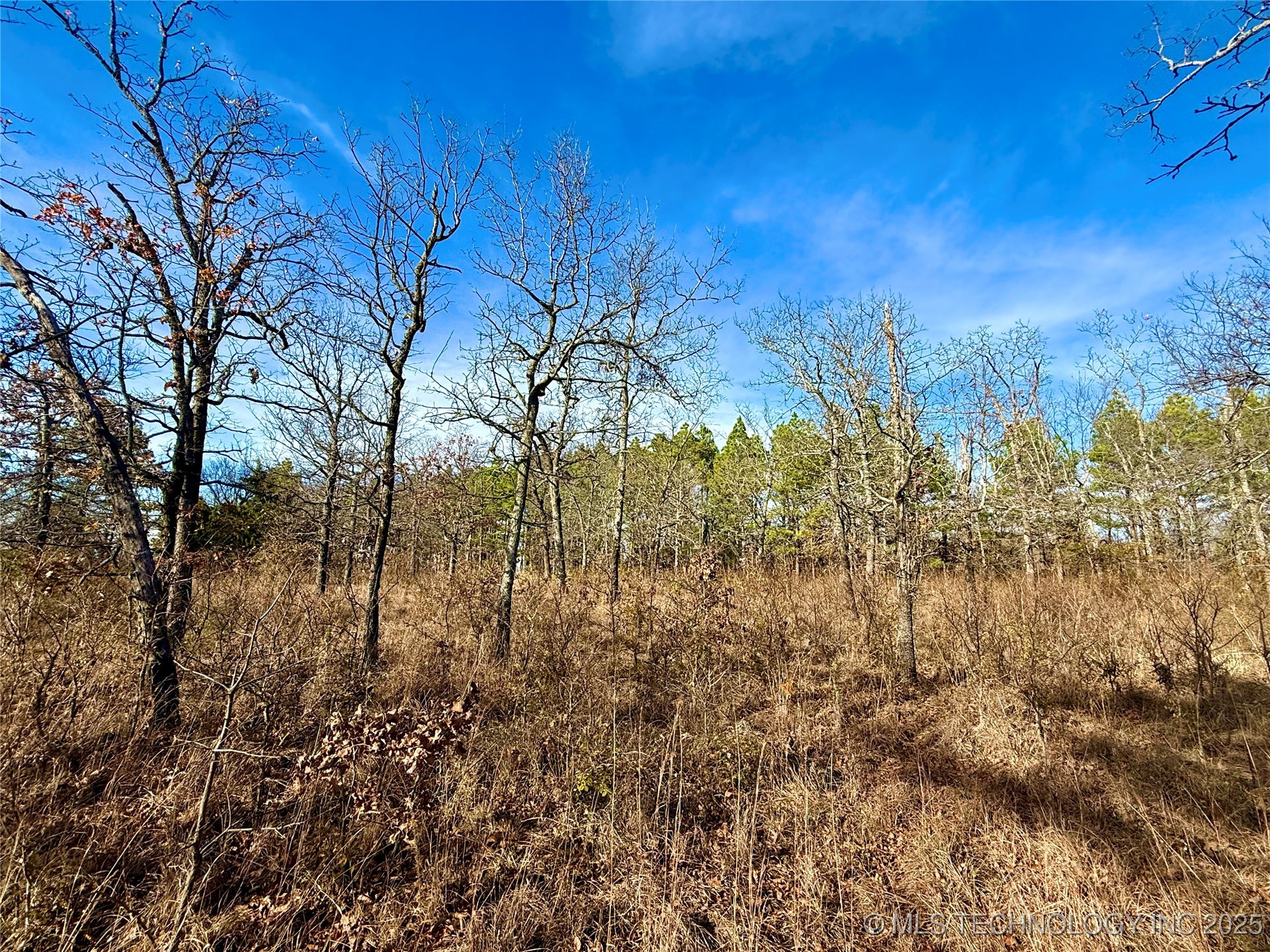 4540 Road S Vian OK 74962