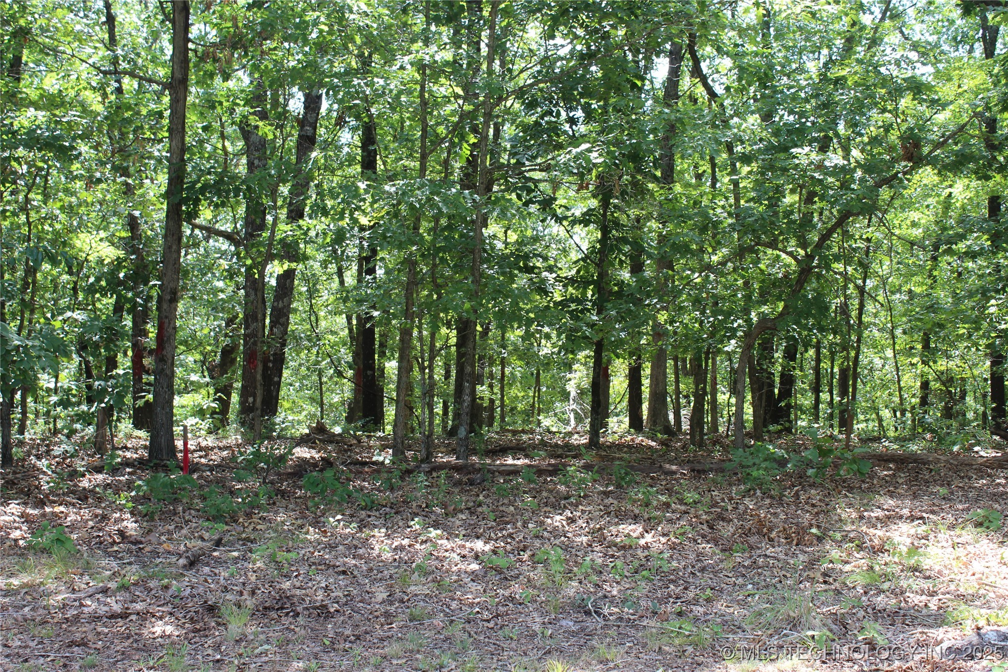 164 Crossroads Drive Kansas OK 74347