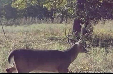 W County Road 3647 Road Francis OK 74844