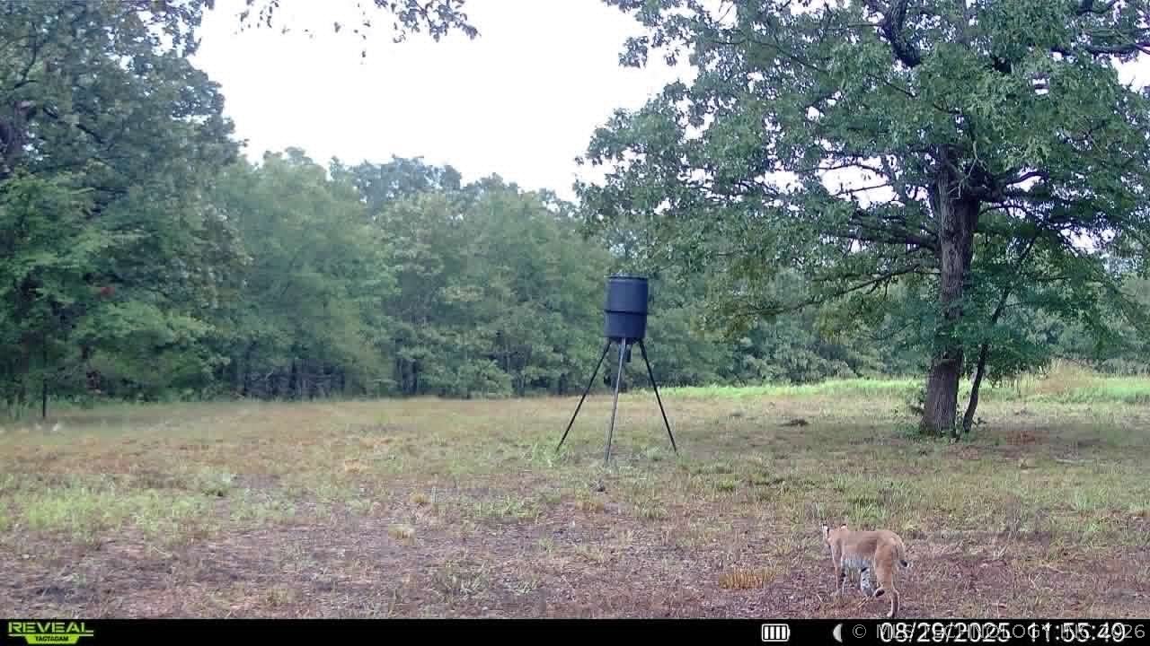W County Road 3647 Road Francis OK 74844