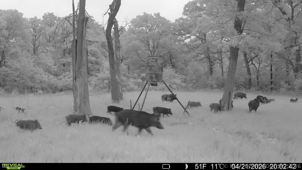 W County Road 3647 Road Francis OK 74844