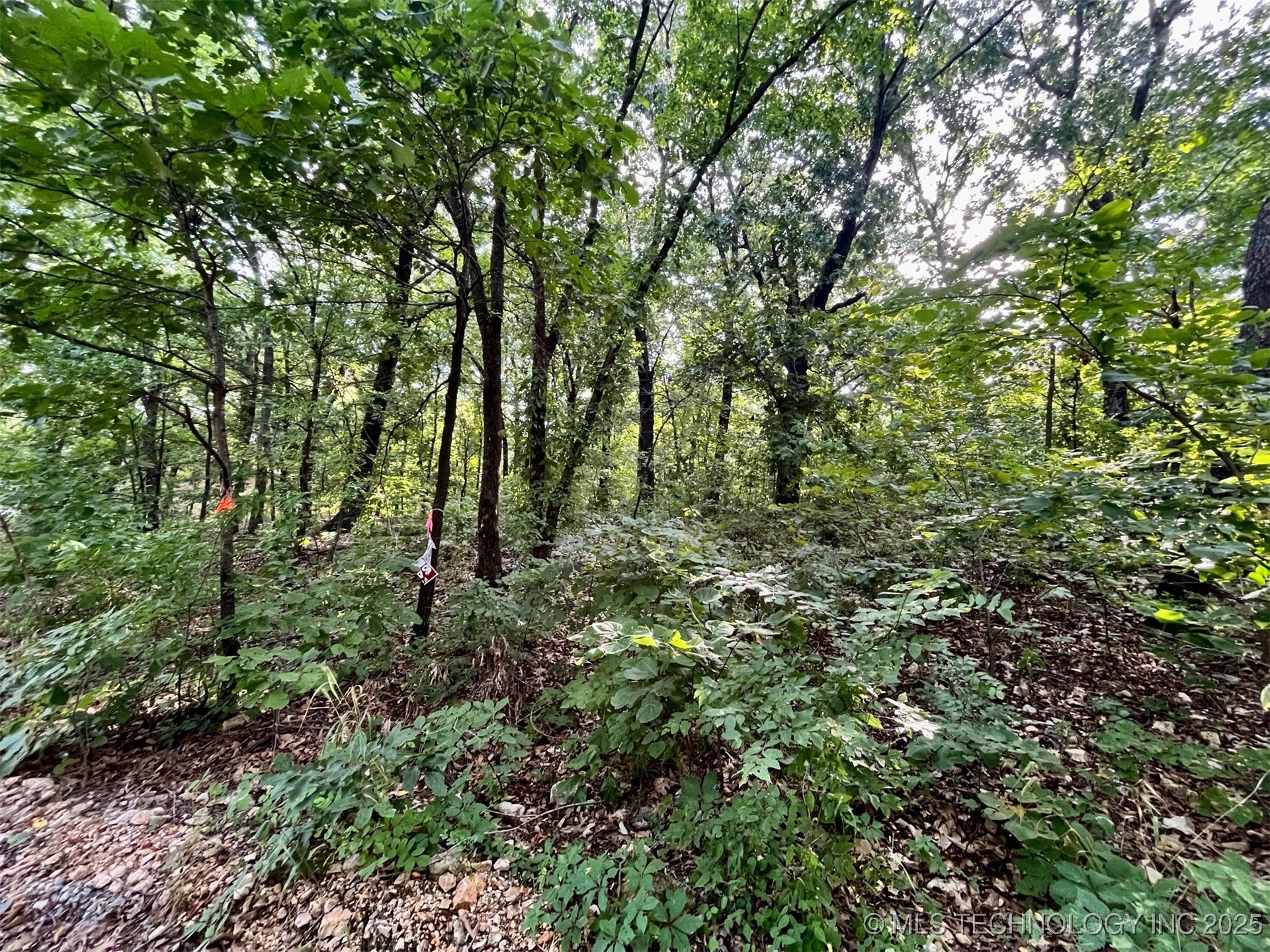 00 Moccasin Lane Spavinaw OK 74366