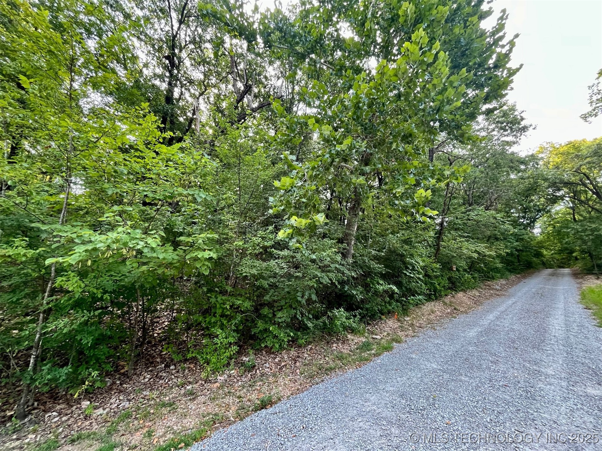00 Moccasin Lane Spavinaw OK 74366
