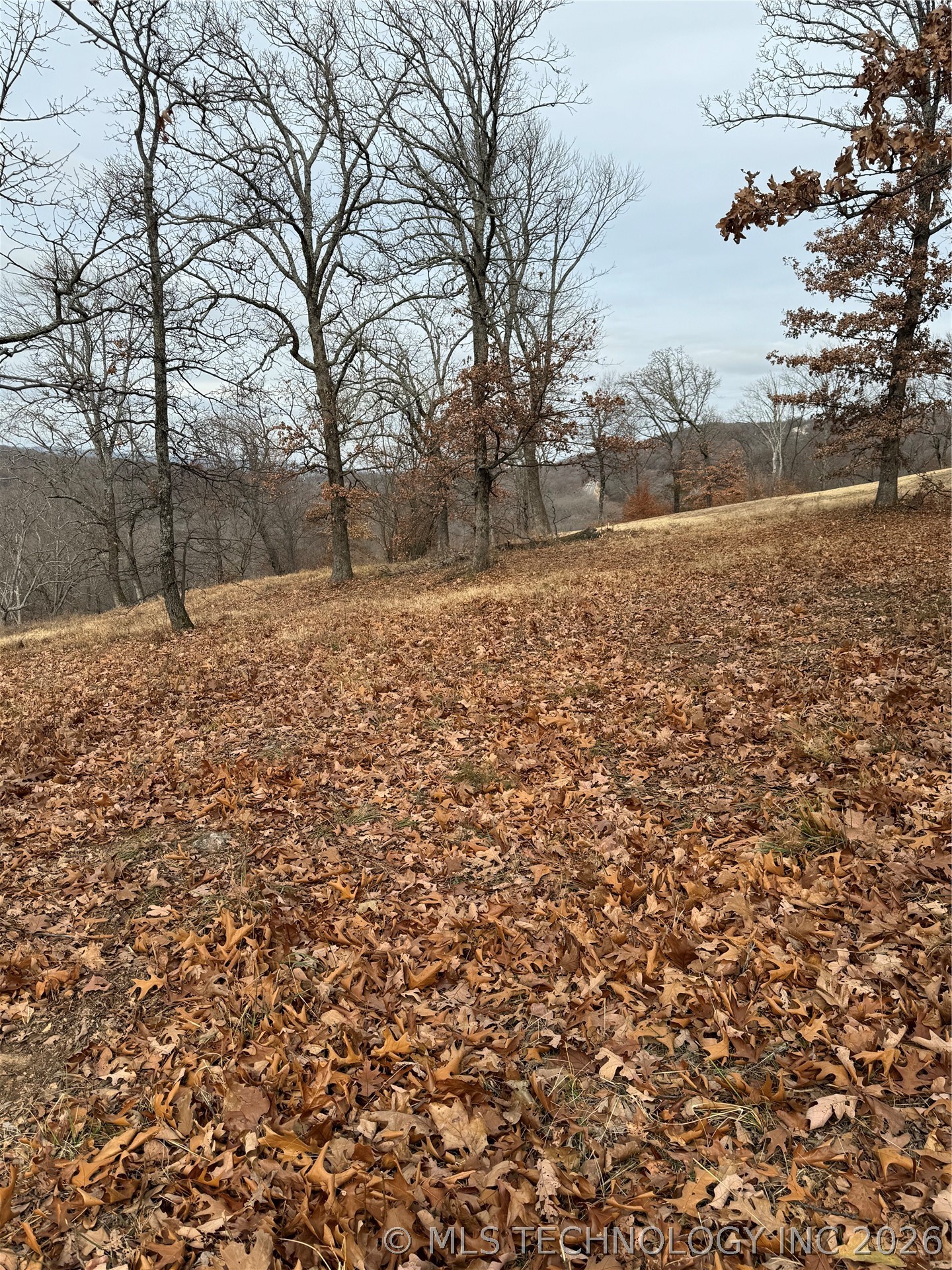 22 E Timbercrest Road Cookson OK 74427