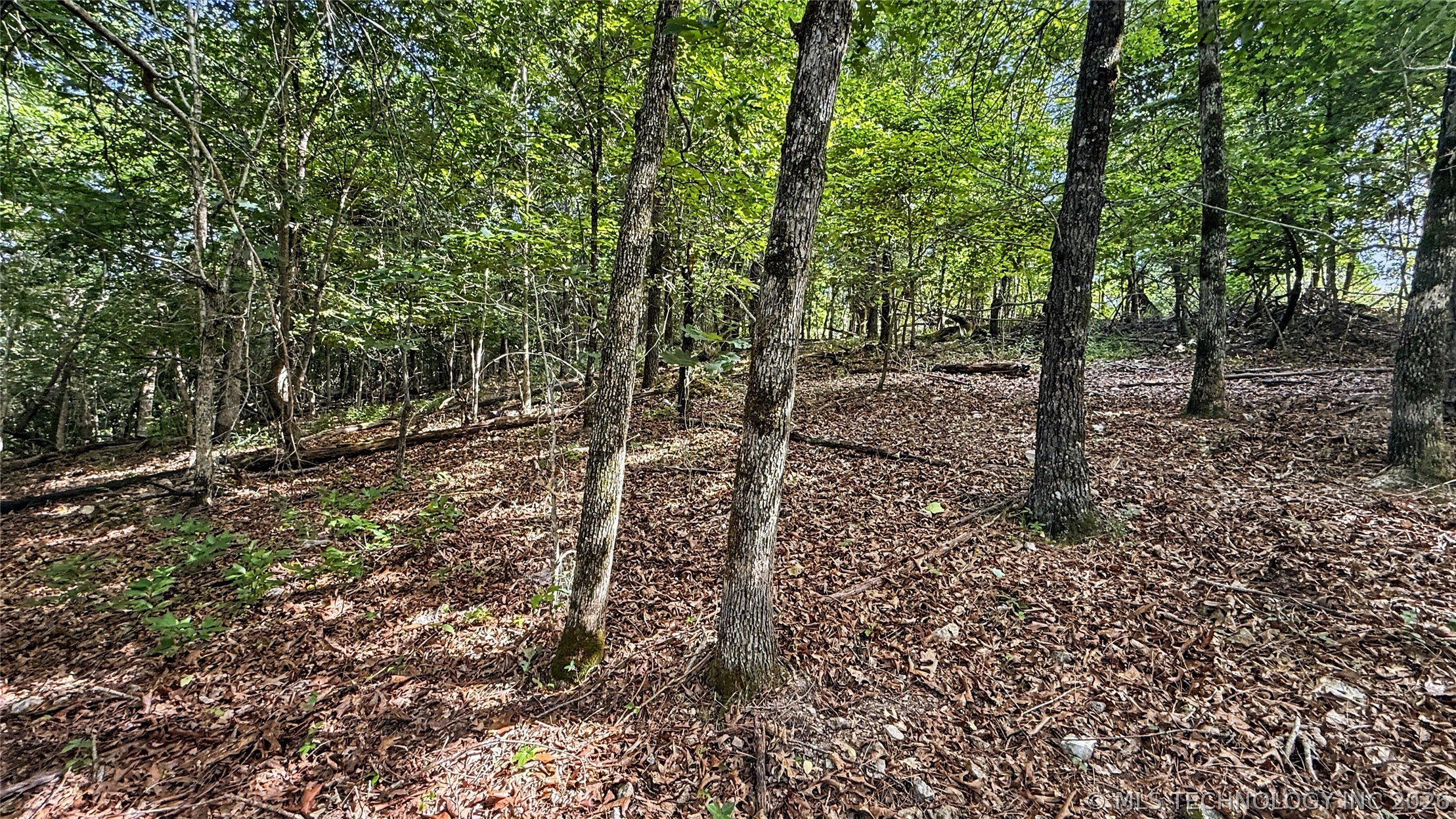 1235 Pheasant Run Road Kansas OK 74347