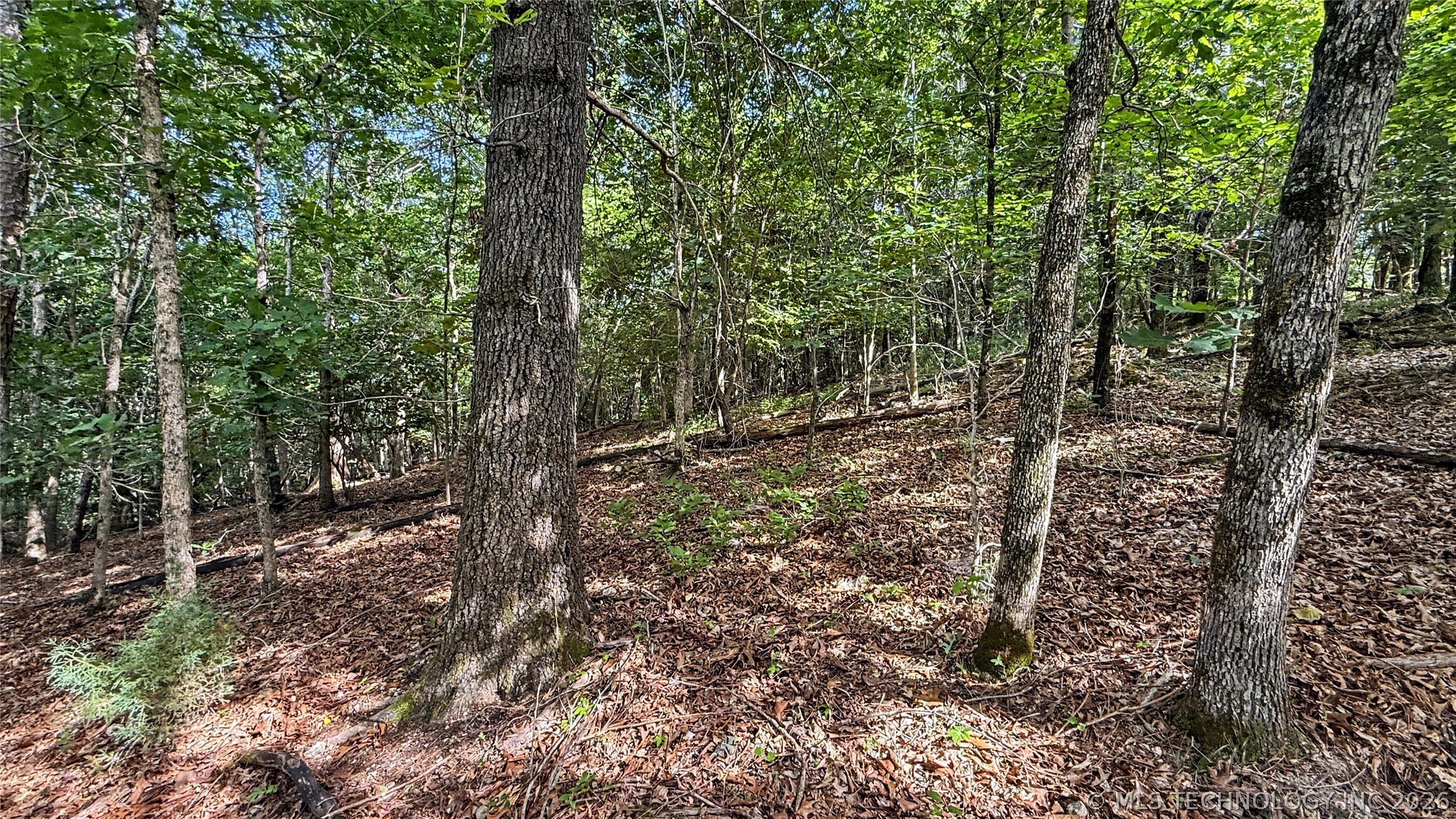 1235 Pheasant Run Road Kansas OK 74347