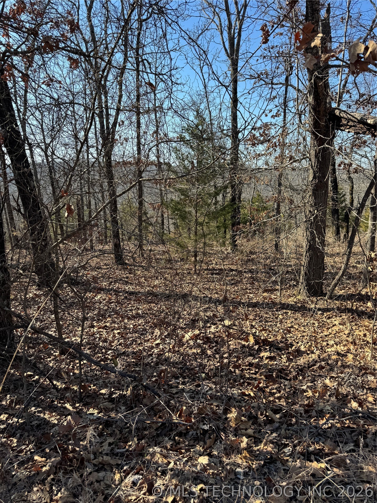 S 4556 Road Vian OK 74962