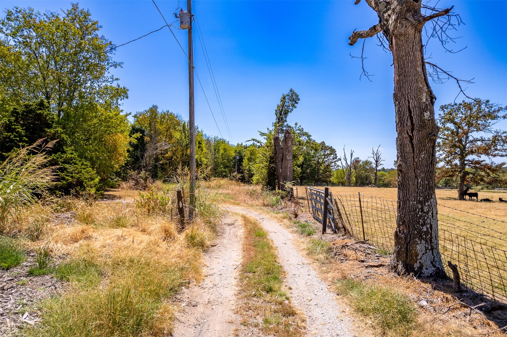 12201 S 4237 Road Chelsea OK 74016