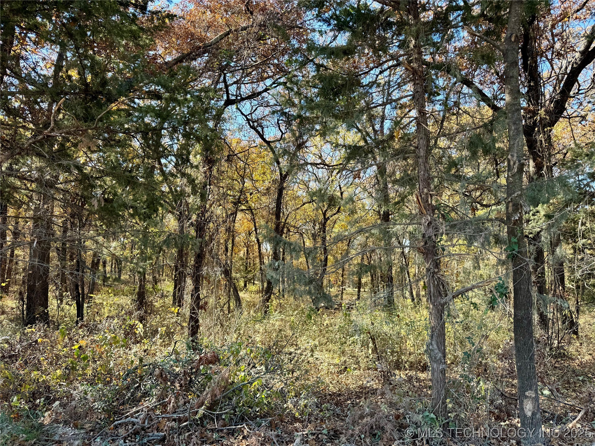 4863 Cobb Kingston OK 73439