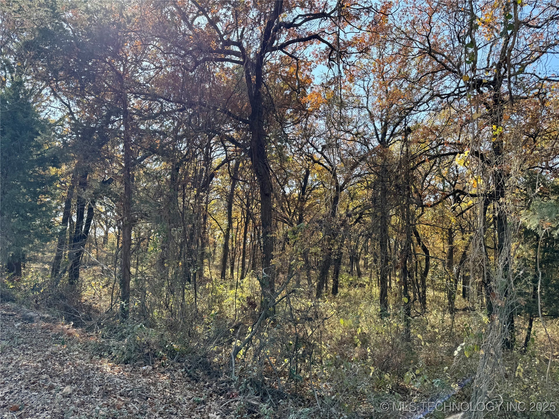 4863 Cobb Kingston OK 73439