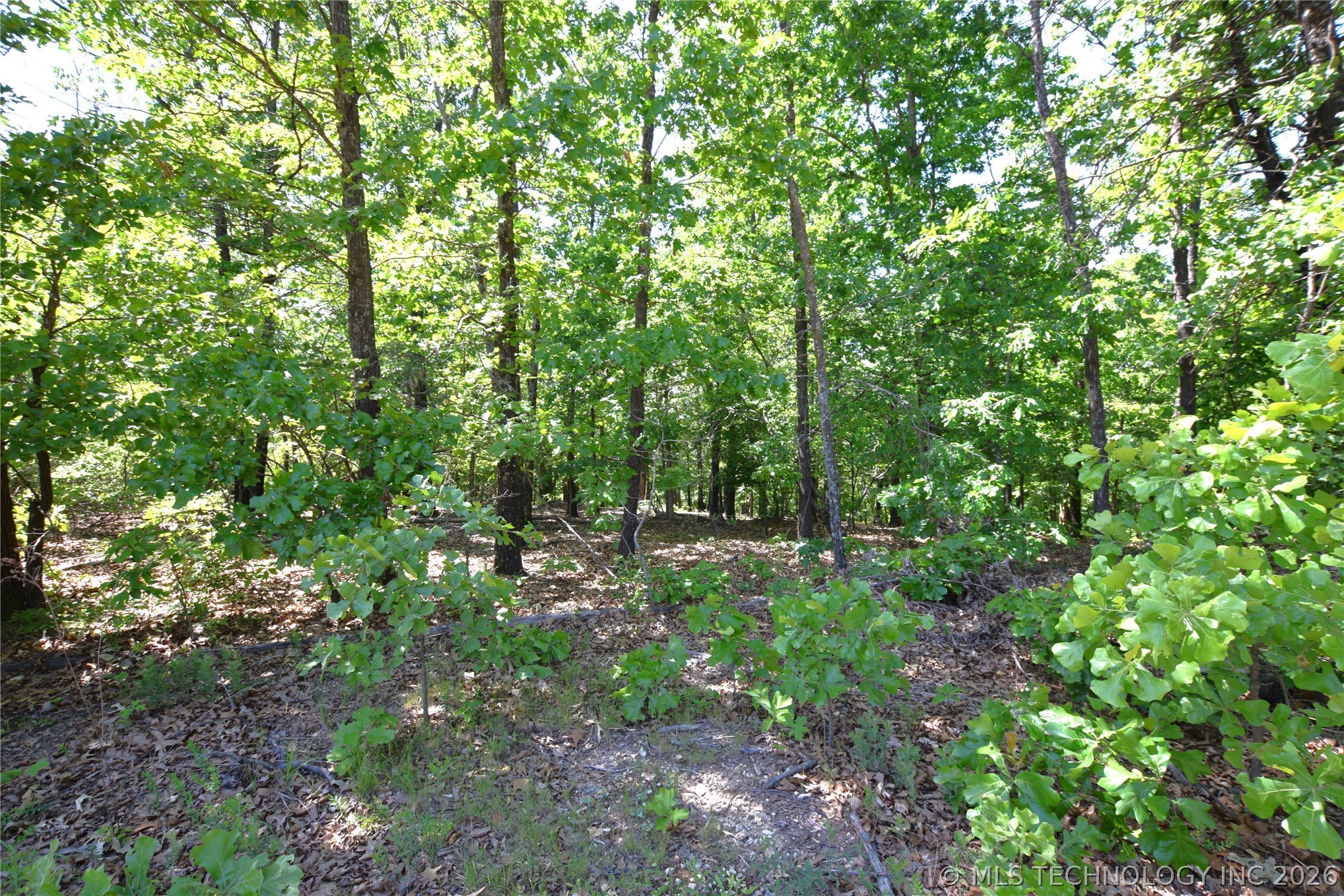 6387 Sacred Fire Ridge Road Proctor OK 74457