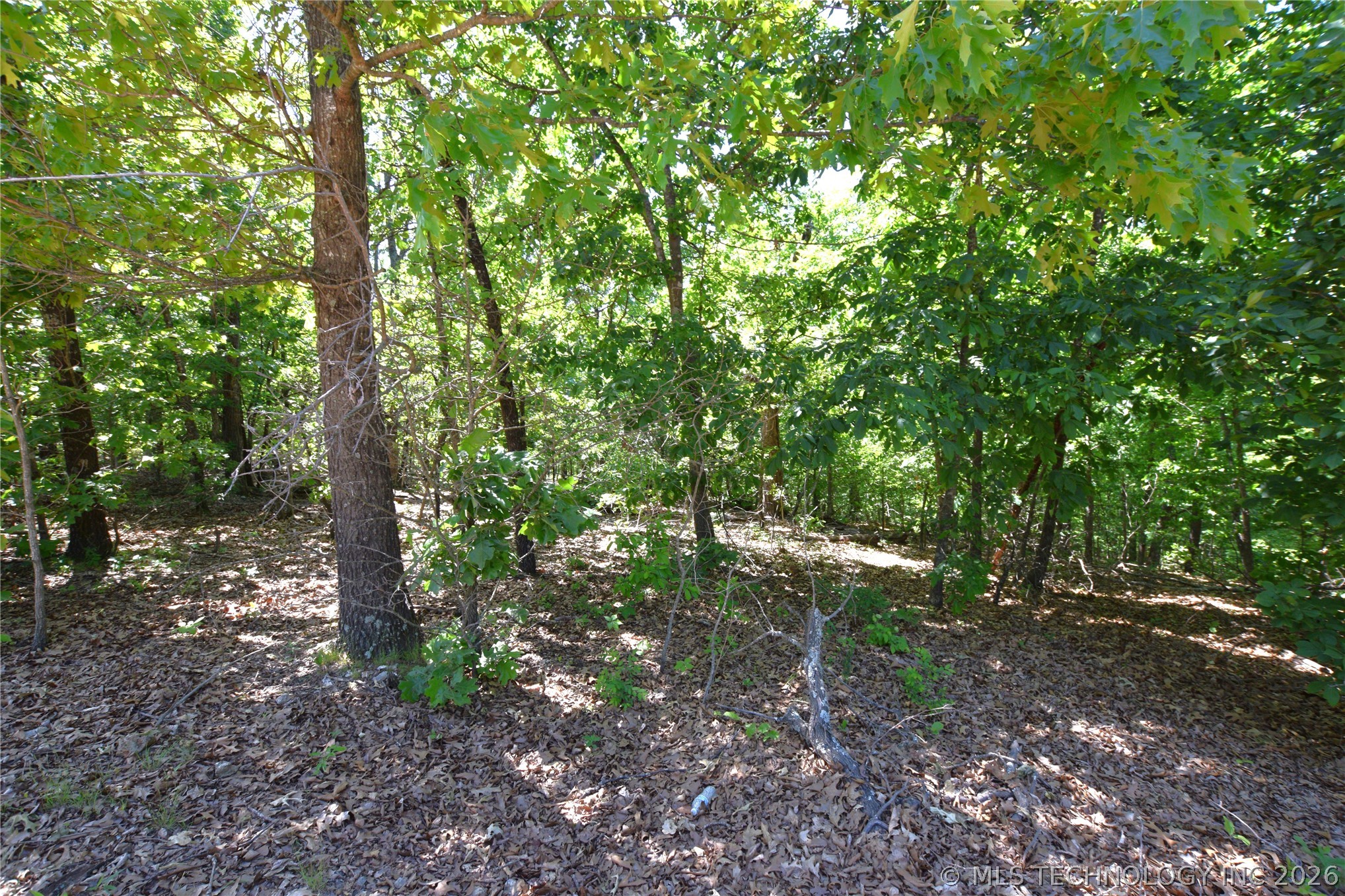 6387 Sacred Fire Ridge Road Proctor OK 74457