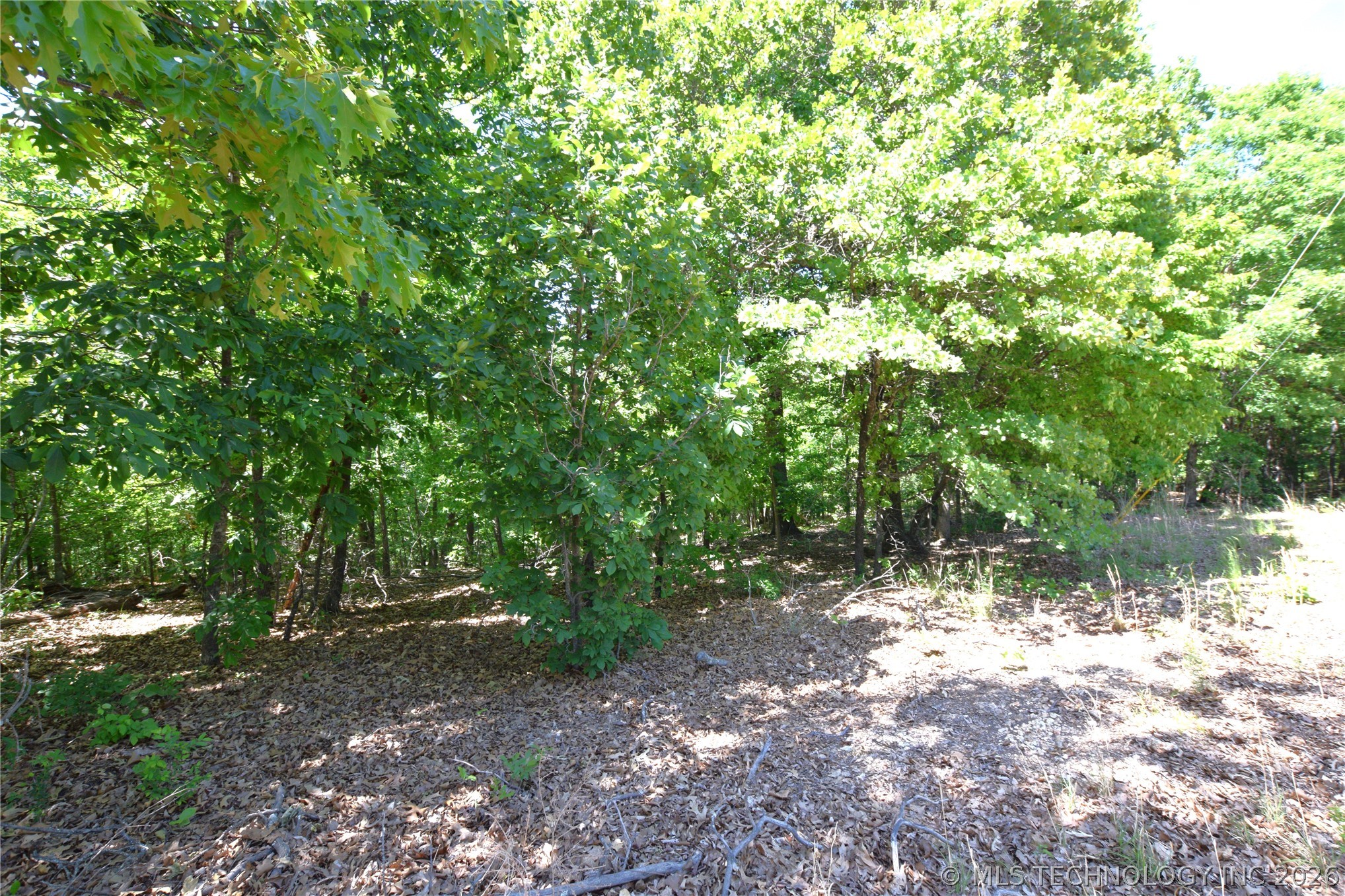 6387 Sacred Fire Ridge Road Proctor OK 74457