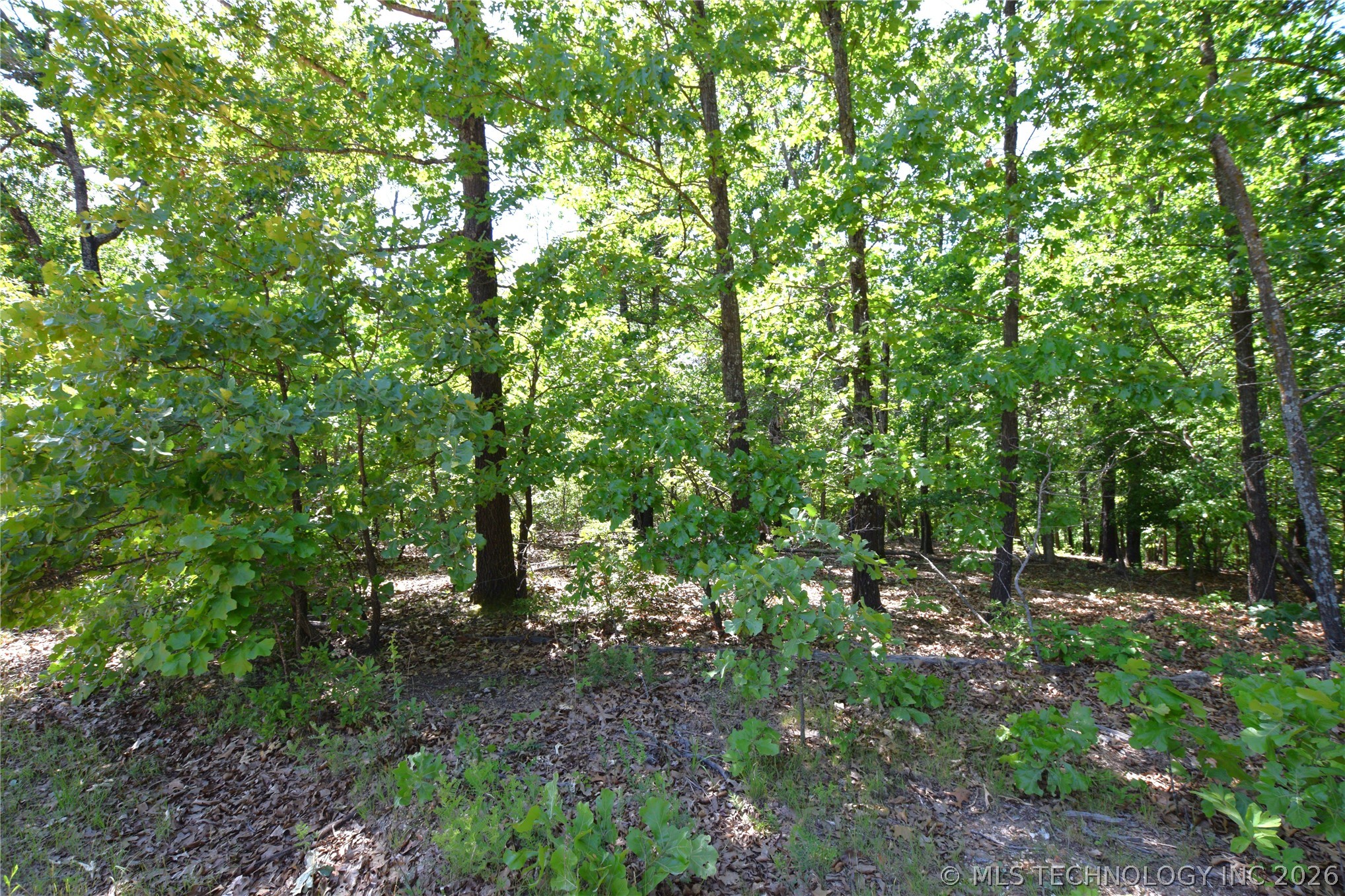 6387 Sacred Fire Ridge Road Proctor OK 74457