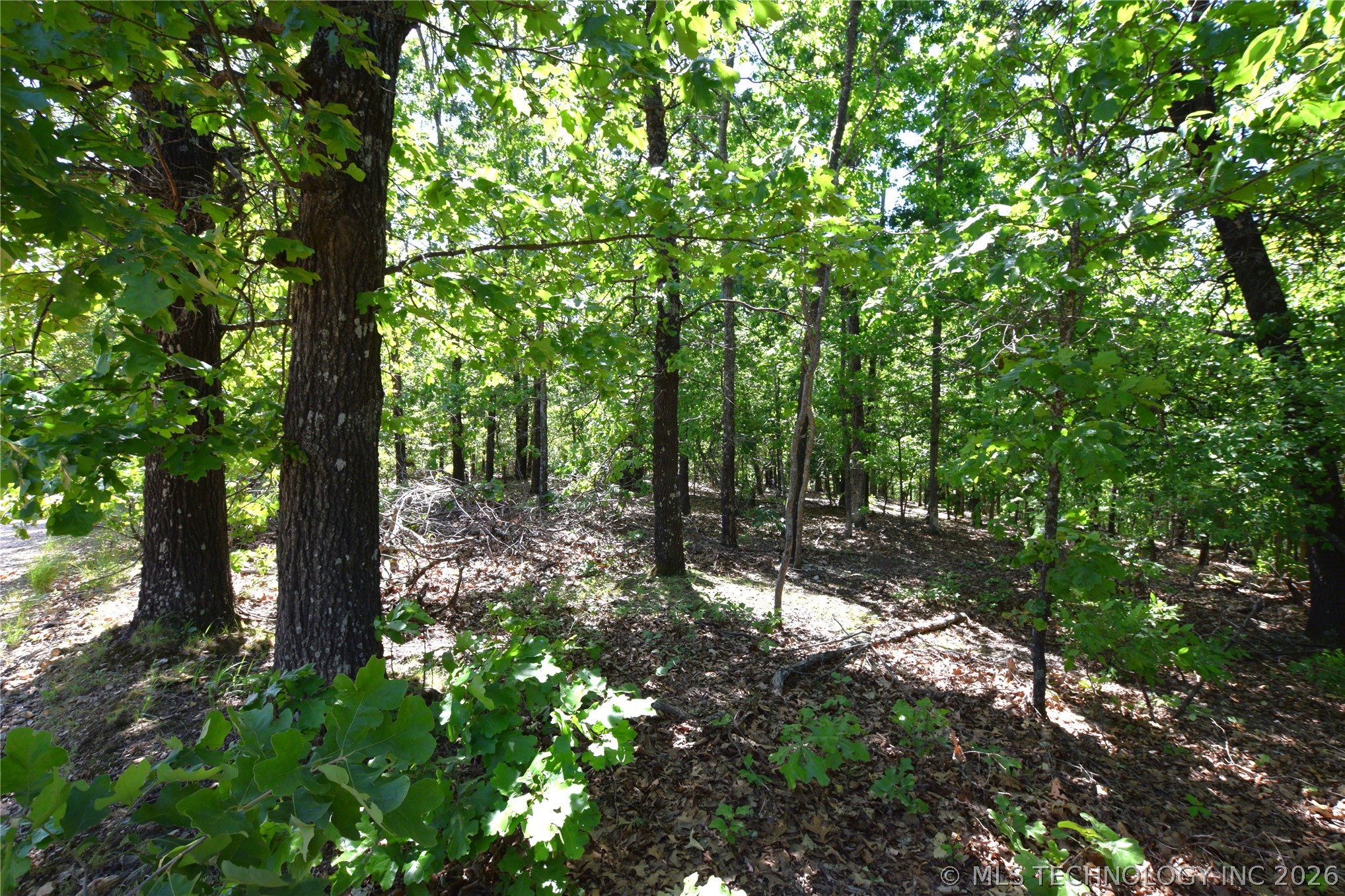 6387 Sacred Fire Ridge Road Proctor OK 74457