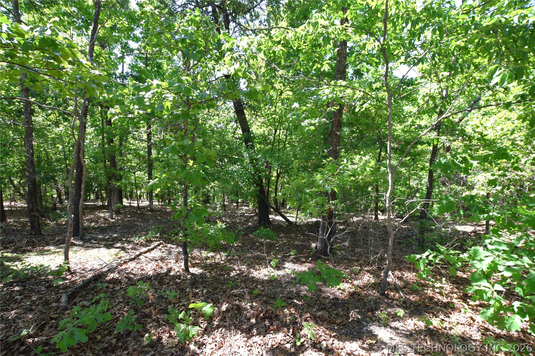 6387 Sacred Fire Ridge Road Proctor OK 74457