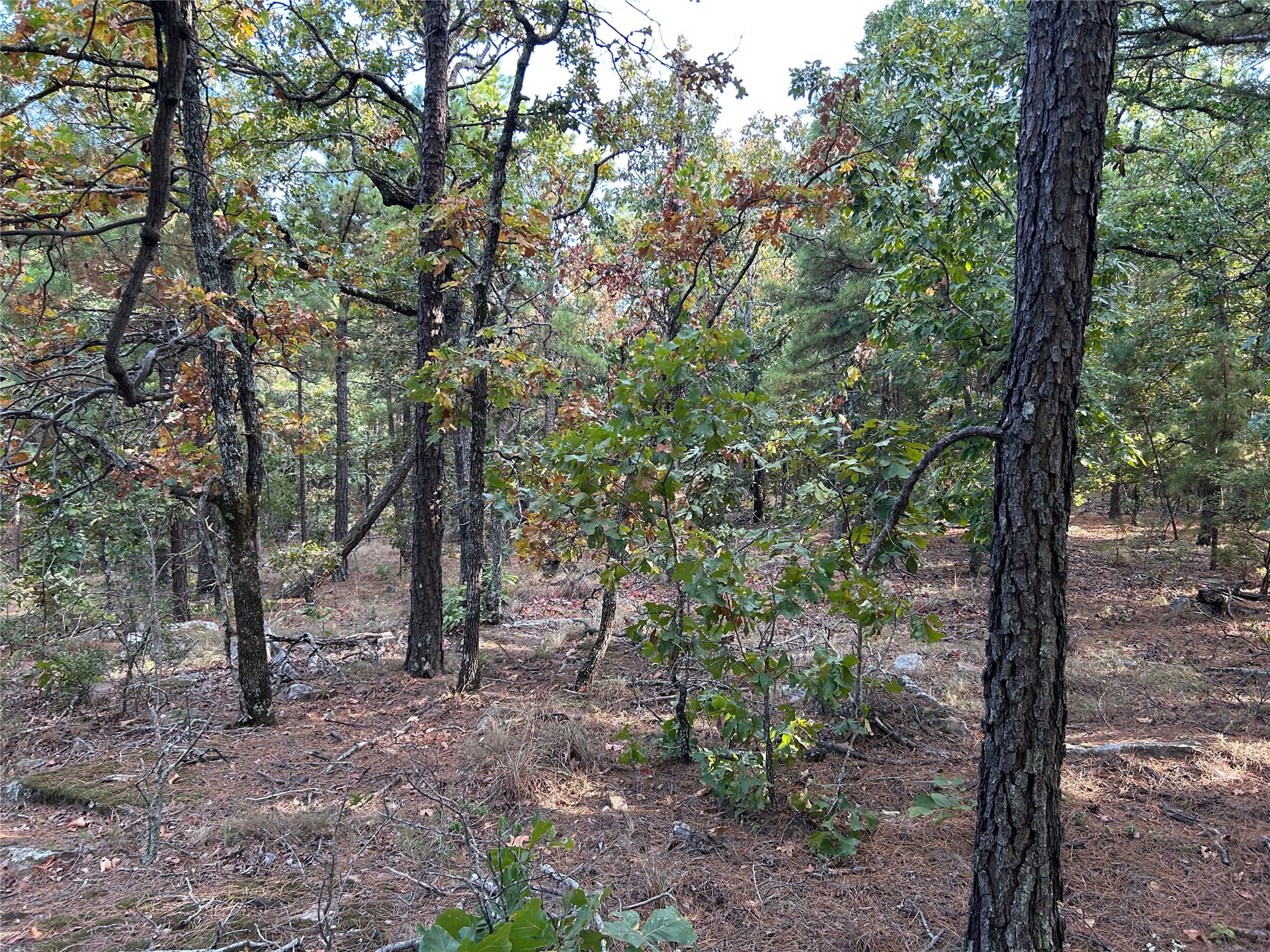 Highway 2 Wilburton OK 74578