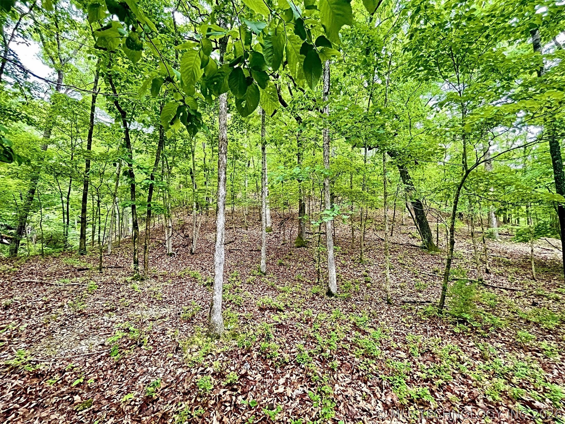 8128 W Clear Creek Road Kansas OK 74347