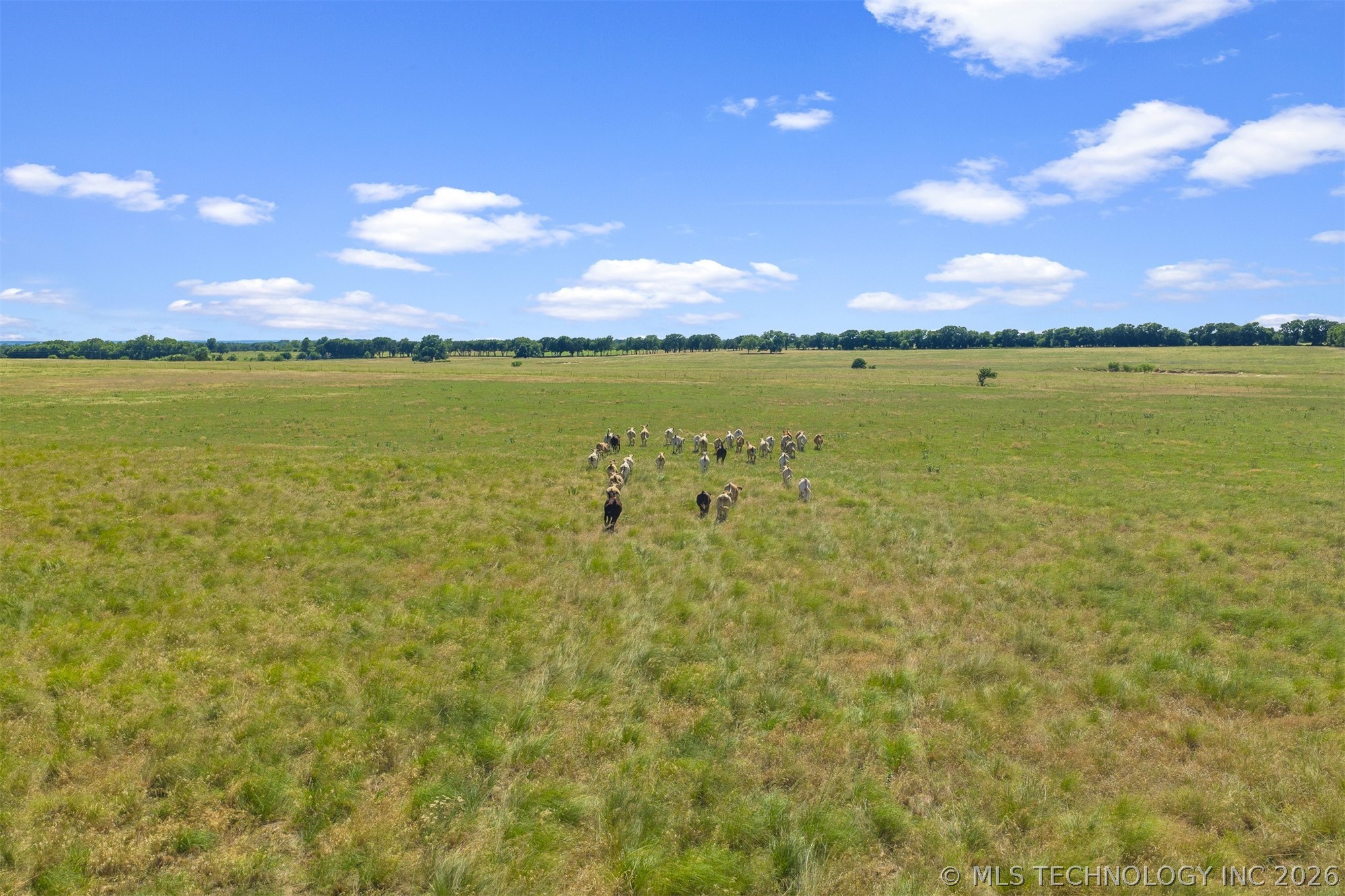Kennedy Road Wilson OK 73463