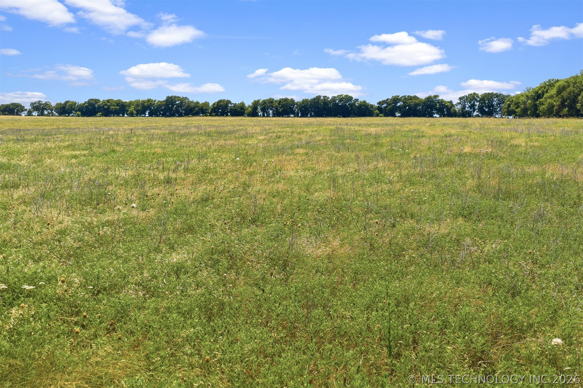 Kennedy Road Wilson OK 73463