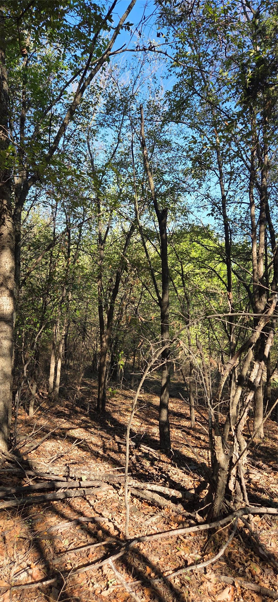 E 1180 Road Okemah OK 74859