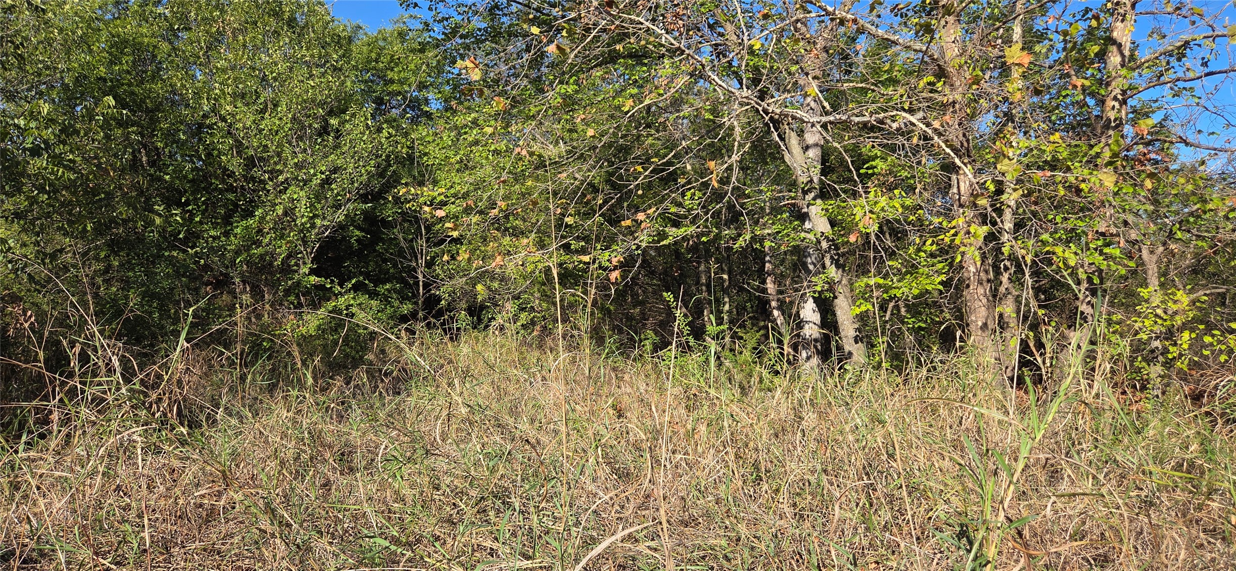 E 1180 Road Okemah OK 74859