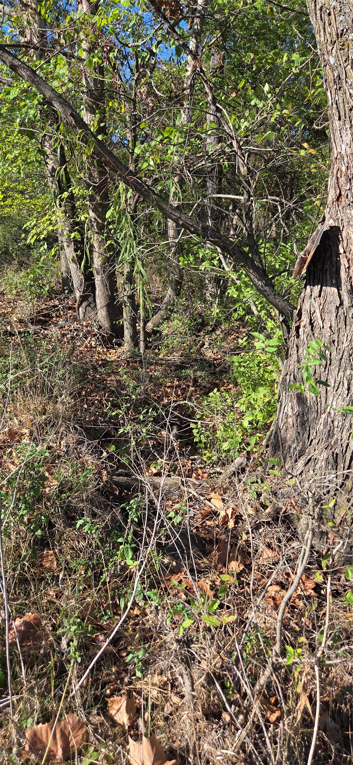 E 1180 Road Okemah OK 74859