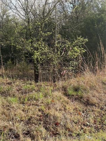 17 Holiday Road Osage OK 74054