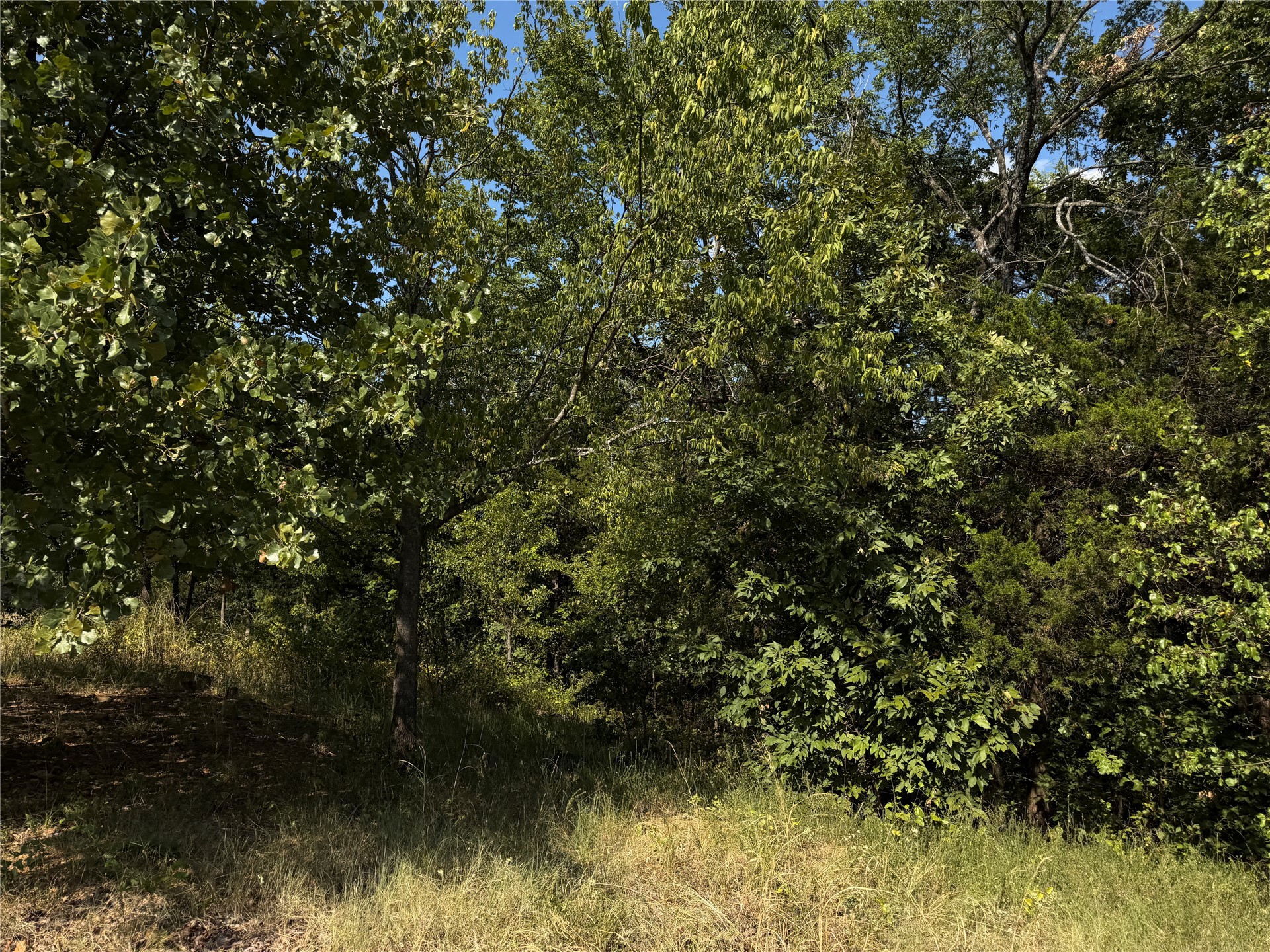 Mission Drive Poteau OK 74953