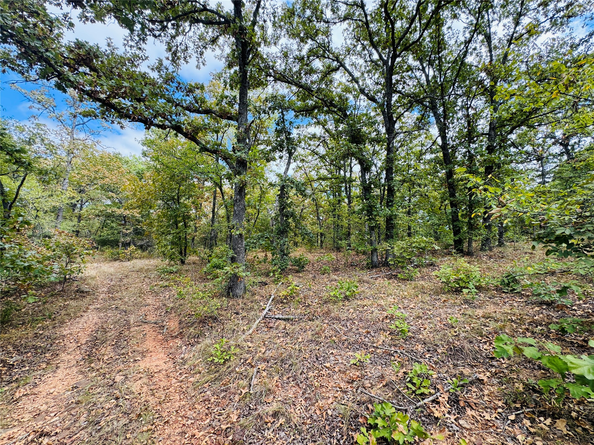 11825 Ns Ns 3650 Road Wewoka OK 74884