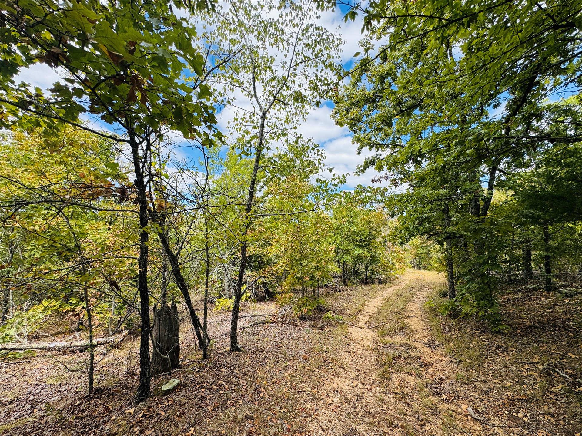 11825 Ns Ns 3650 Road Wewoka OK 74884