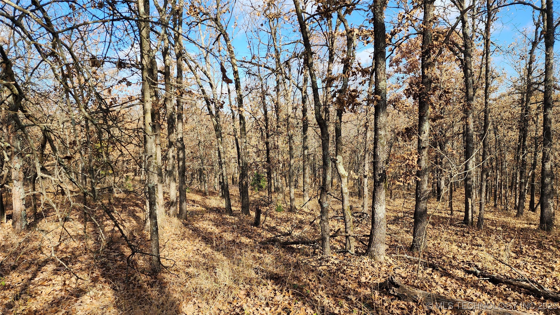 427640 E 290 Road Chelsea OK 74016