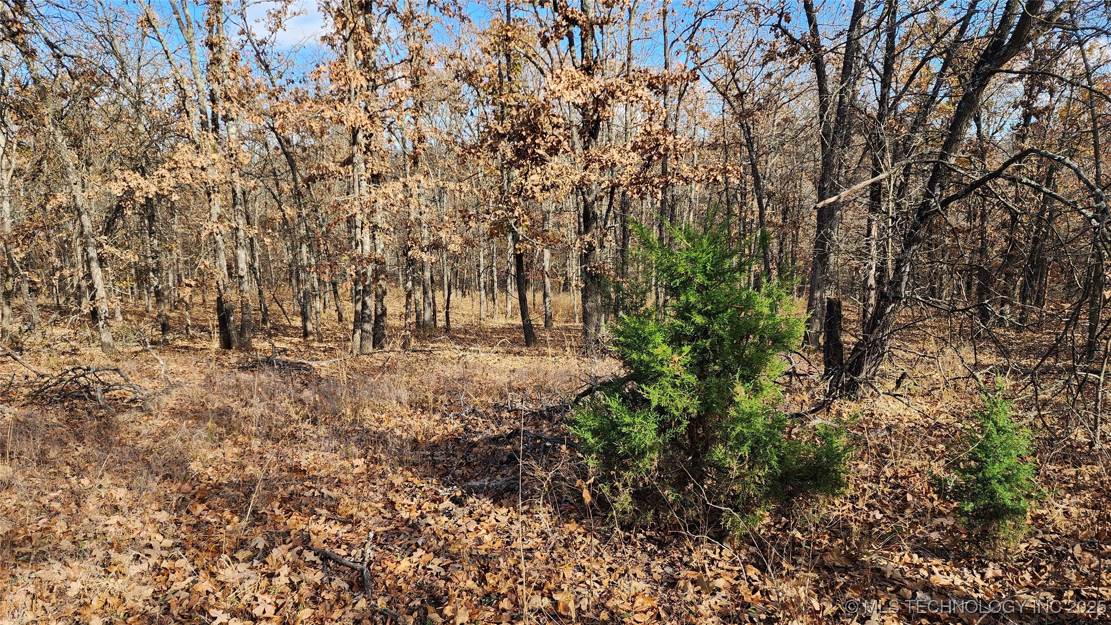 427640 E 290 Road Chelsea OK 74016