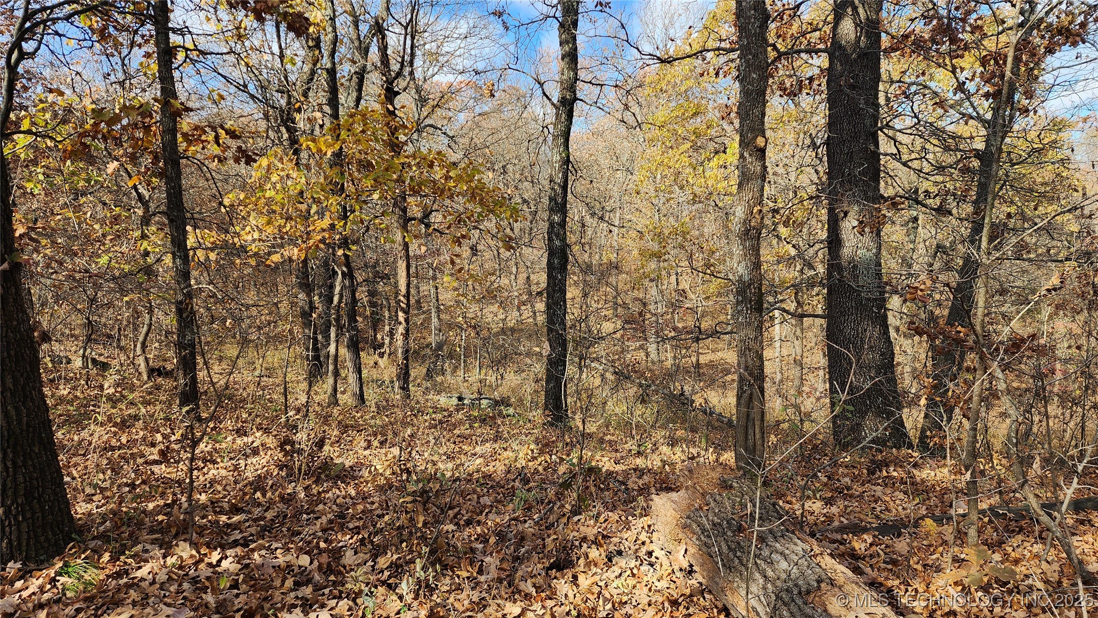 427640 E 290 Road Chelsea OK 74016